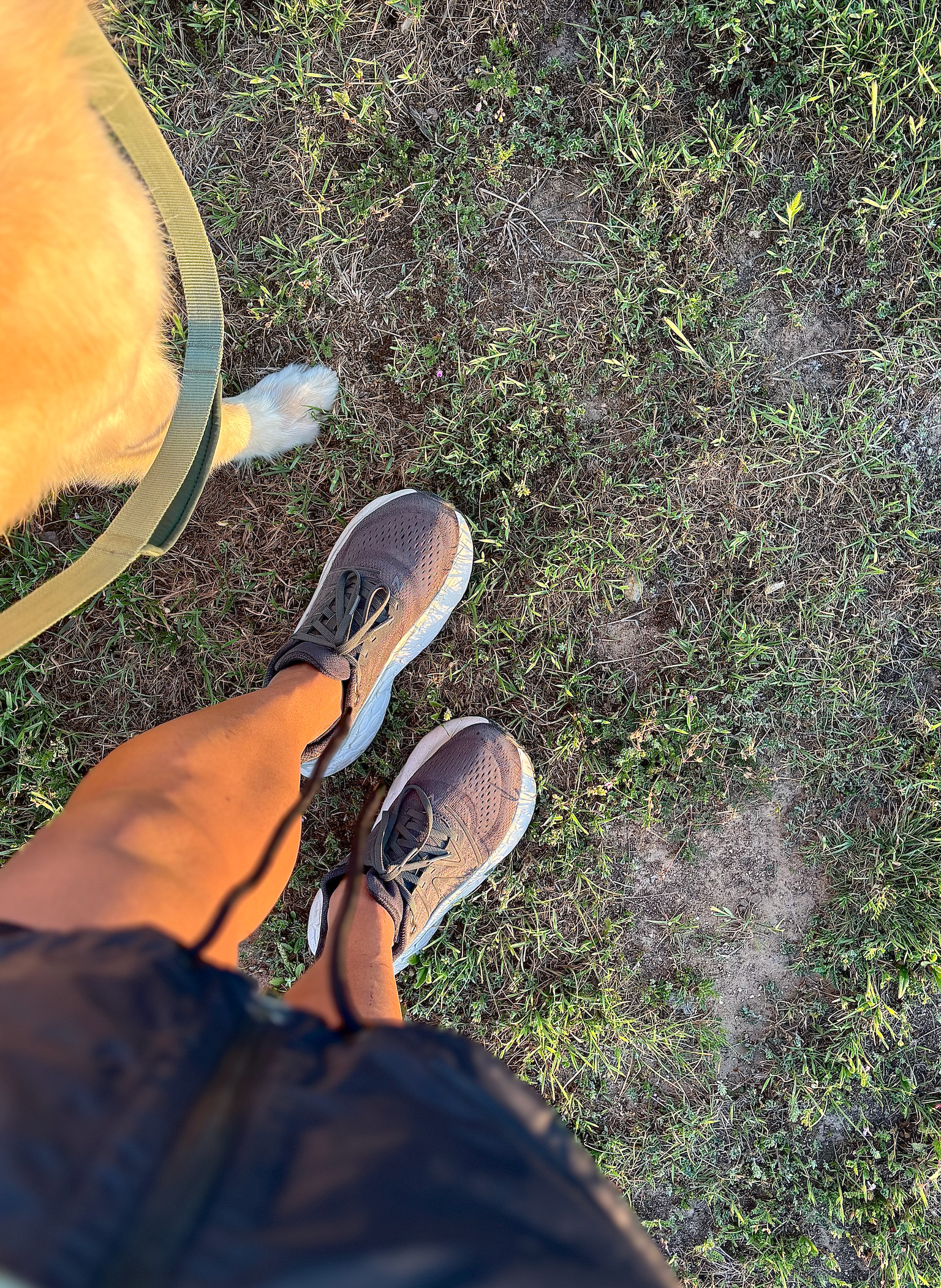 These are some of my go-to walking shoes. I've been wearing these and the Asics Gel Nimbus. Both are pretty comparable and super comfortable! If you're in between sizes, I'd recommend sizing down. I am typically 8/8.5 in shoes, and I went with the 8. 

 

#LTKActive #LTKStyleTip #LTKPets