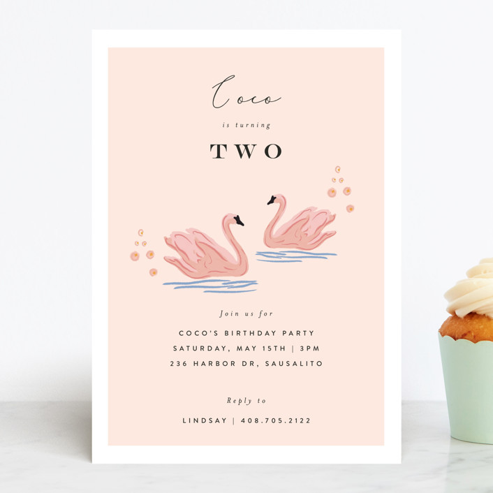 Swan Princess | Minted