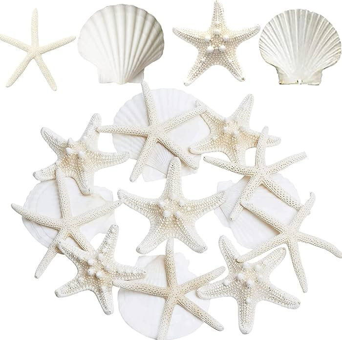 JQAQJU 3-4 Inches Large Starfish and Scallop Shells for Crafts 12PCS, Natural Beach Sea Shells fo... | Amazon (US)