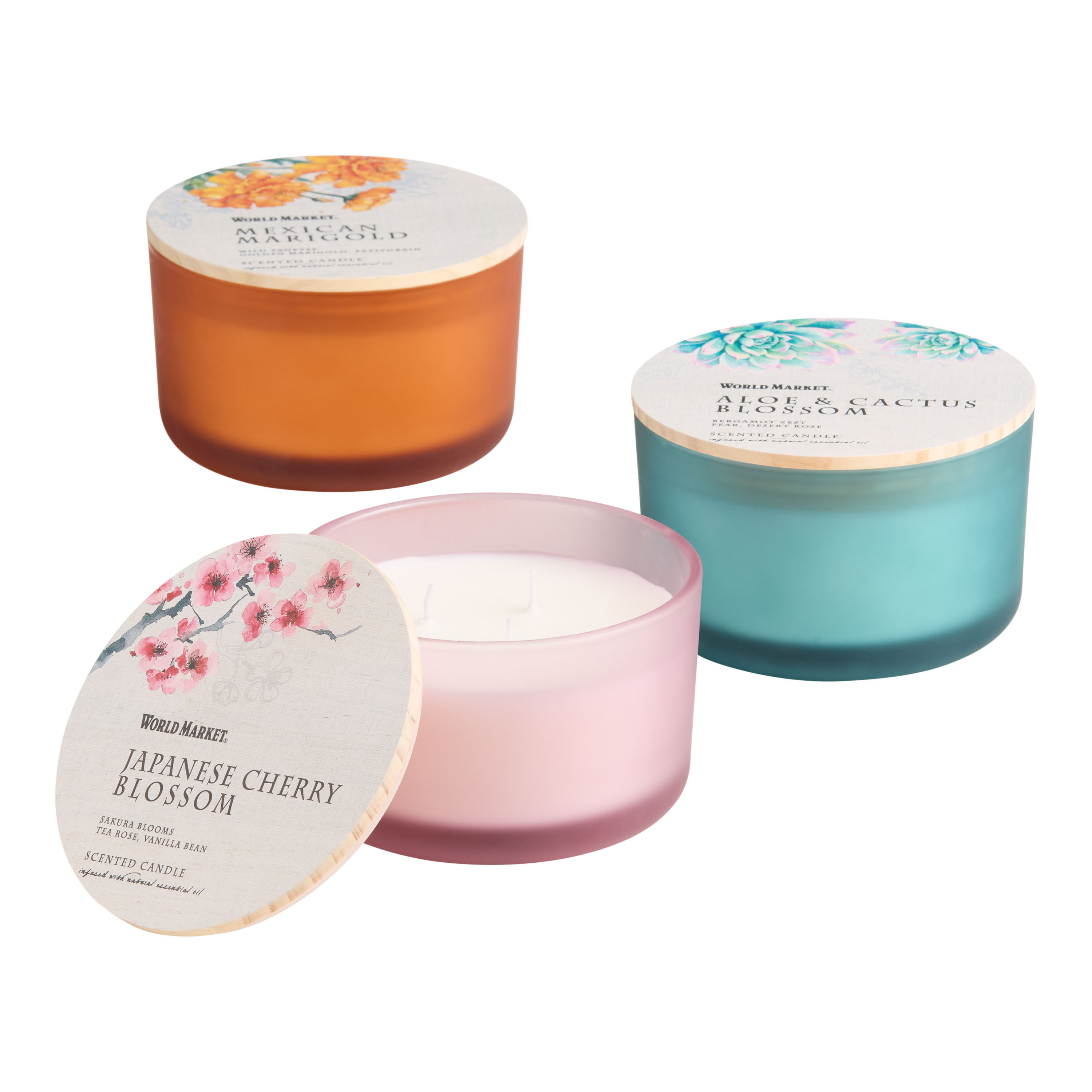 Botanical 3 Wick Scented Candle | World Market