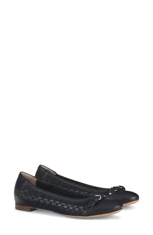 AGL Monia Cap Toe Ballet Flat in Nigh-Navy-Nigh-Nigh at Nordstrom, Size 7.5Us | Nordstrom