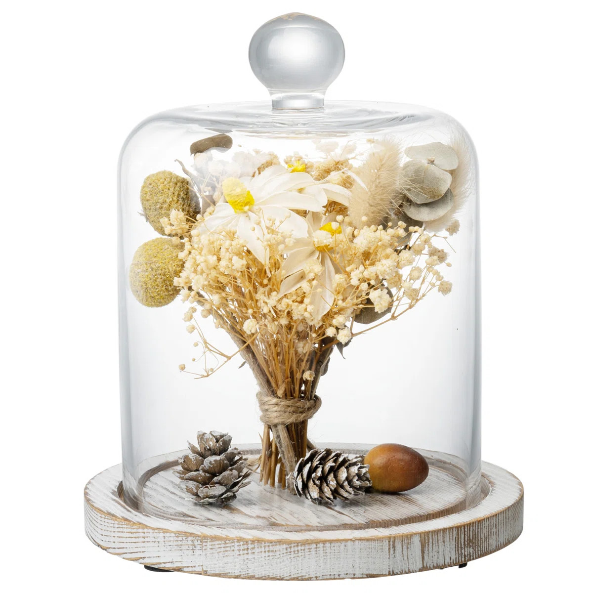 Modern Farmhouse Décor Decorative Glass Cloche | Wayfair North America