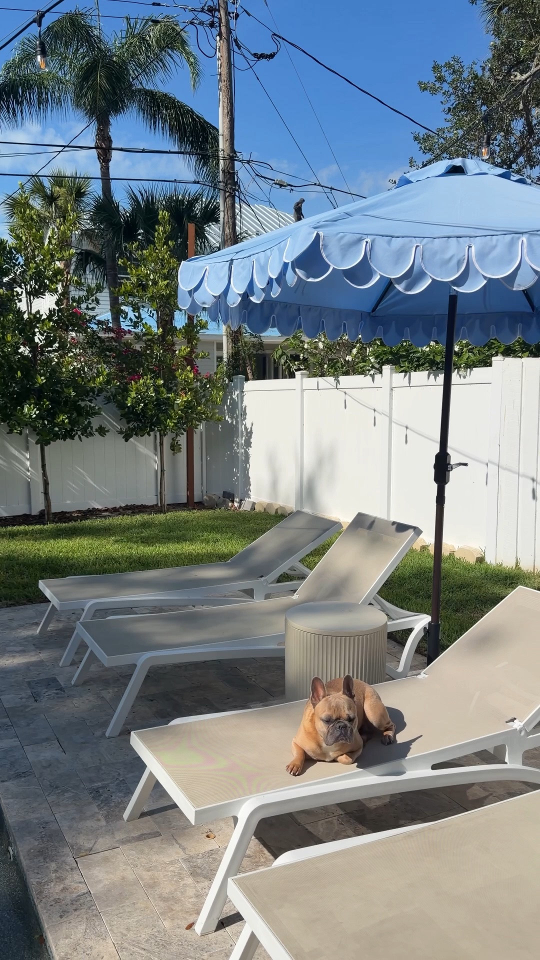 #ad slowly adding more pieces to my backyard all from @wayfair #outdoor #wishyouwerehere #Wayfair #WayfairPartner