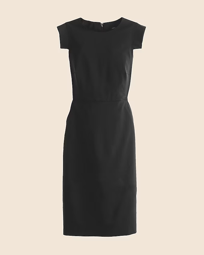 Resume dress | J. Crew US