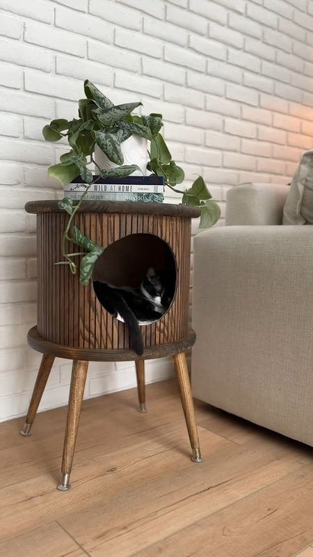 This DIY Cat End Table is both cute and functional! Here’s everything we used to create it!

#LTKfindsunder100 #LTKfamily #LTKhome