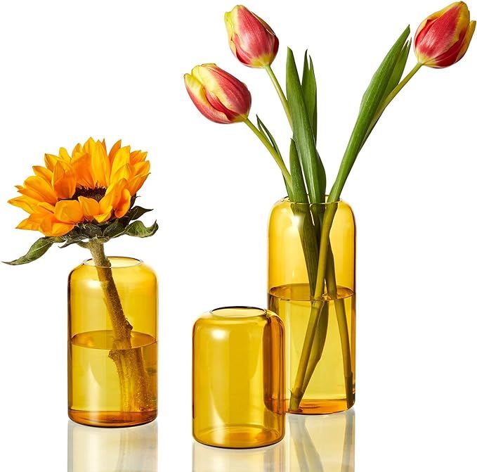 ZENS Glass Vase Set of 3, Modern Small Medium Amber Bud Vases for Home Decor Flowers, Hand Blown ... | Amazon (US)