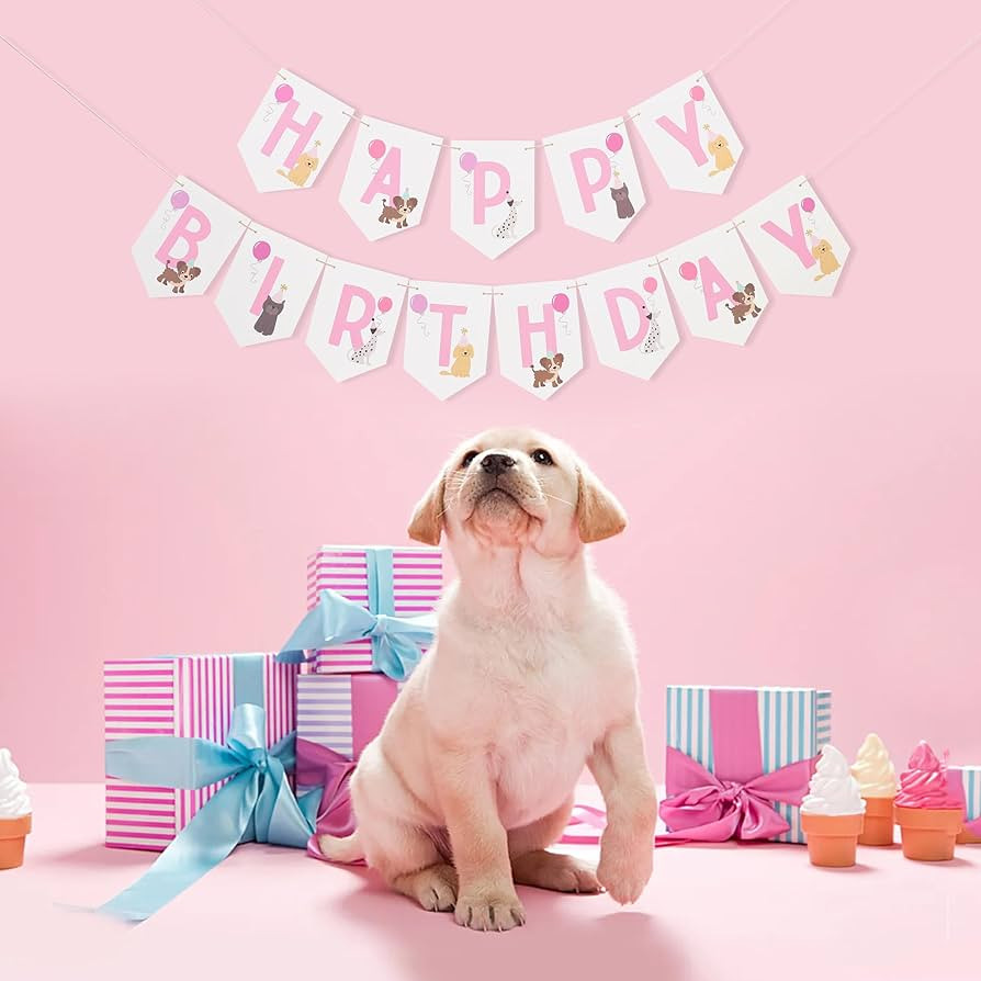 Pet Happy Birthday Banner - Puppy Birthday Decorations,Happy Puppy Party Photo Backdrop,Dog Bday ... | Amazon (US)