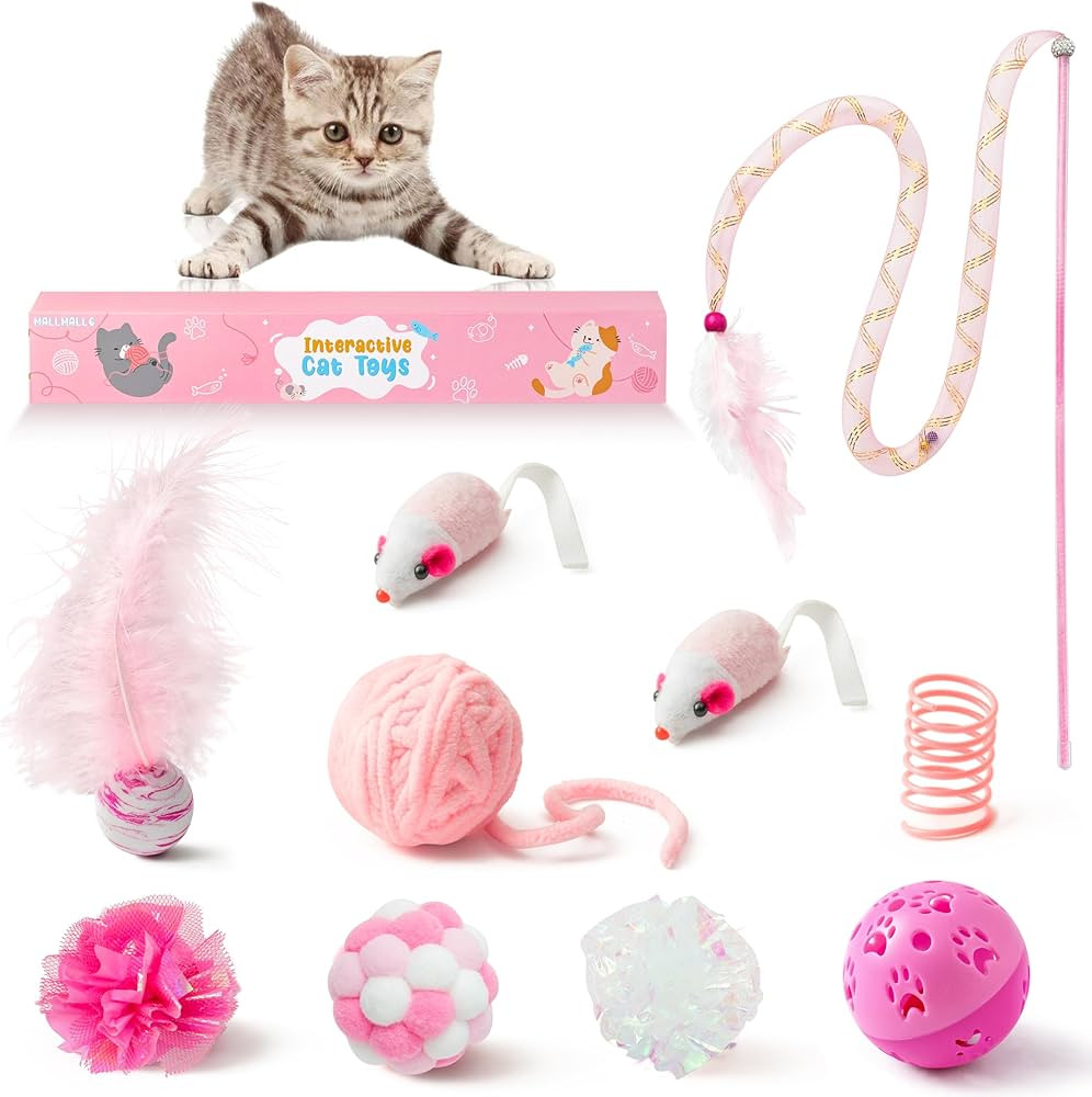 MALLMALL6 10Pcs Cat Toy Set Interactive Cat Toys Pack Including Feather Teaser Wand Cat Springs M... | Amazon (US)