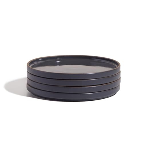 Our Place Salad Plates - Set of Four 8.5” Handcrafted Ceramic Plates | Versatile & Durable | Chip-Resistant, Restaurant-Grade | Char | Amazon (US)