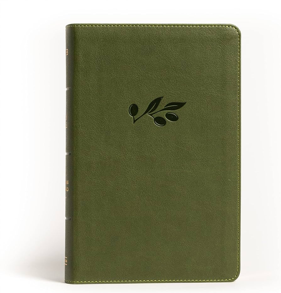 NASB Large Print Personal Size Reference Bible, Olive LeatherTouch, Red Letter, Presentation Page... | Amazon (US)