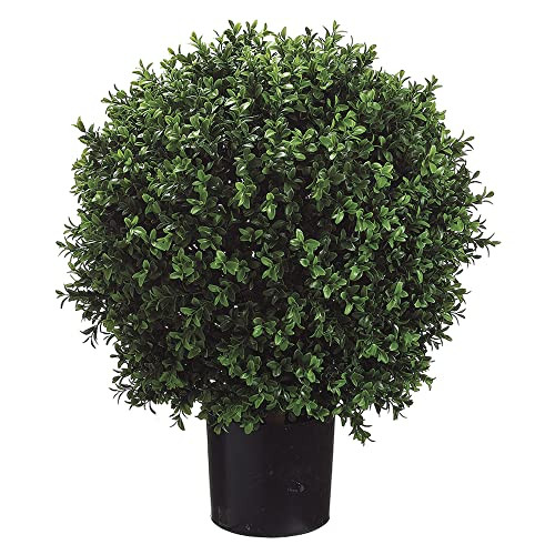 Set of 2 - Pre-Potted 24" High Ball Shaped Boxwood Topiary- 16" Diameter - Plastic Pot | Amazon (US)