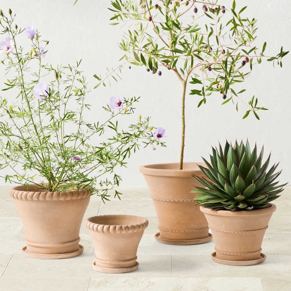 Williams Sonoma Terracotta Rope Planter | Williams-Sonoma