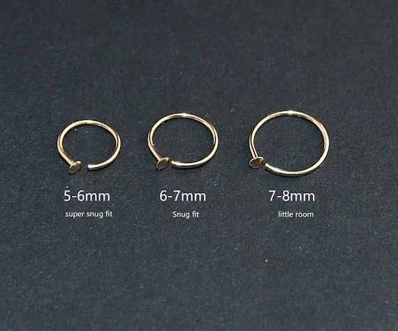 Gold Nose Hoop,Small Thin Nose Ring, Silver Nose Ring Hoop,22 Gauge Tiny Nose Ring,Snug Fit,Nose ... | Etsy (US)