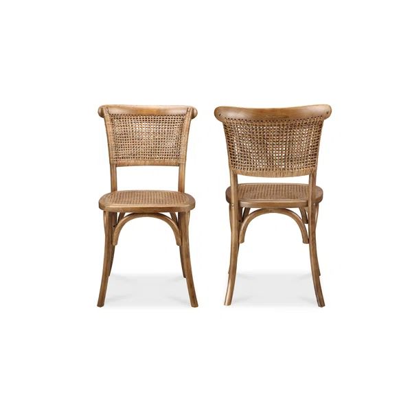 Dain Elm Dining Side Chair | Wayfair North America