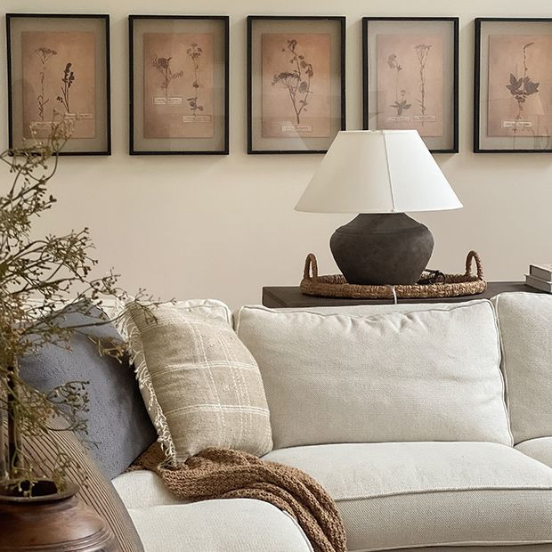 Pressed Botanical Print Set of 6 | Antique Farm House