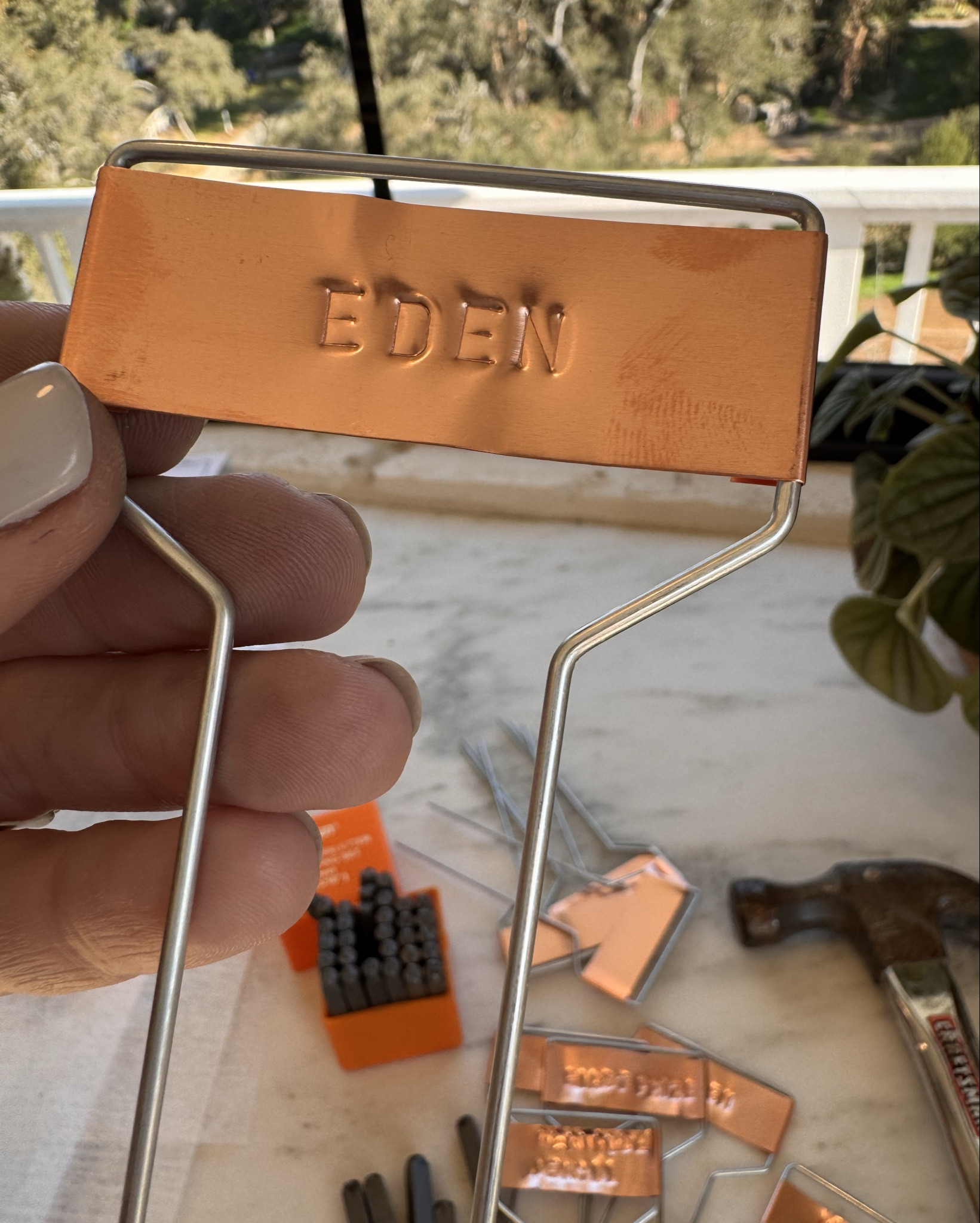 Made some DIY rose tags to label my roses. These are so easy, and look so cute in the garden. You can label vegetables, flowers or anything your heart desires. I love that they will patina over time. #frostfarm #roselabels #rosetags #iloveroses #gardentags

#LTKdayinmylife #LTKHome #LTKmorningroutine