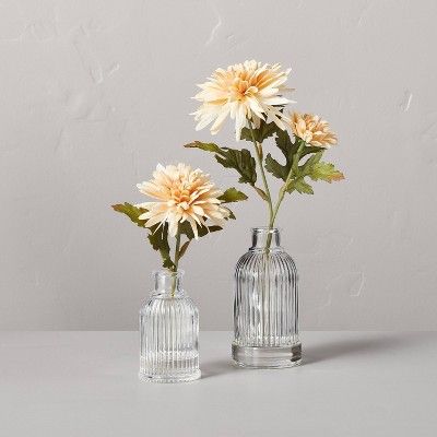 Faux Daisy Flower Arrangement - Hearth & Hand™ with Magnolia | Target