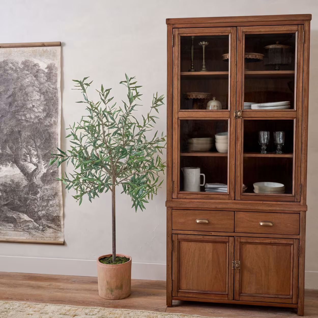 70" Olive Tree in Clay Pot Green | Magnolia