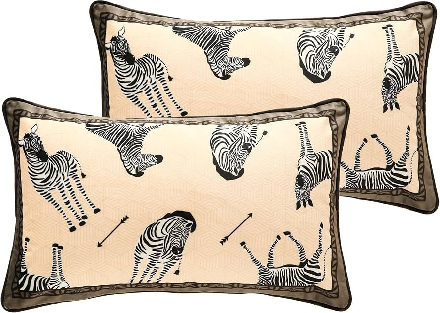 patdrea Designer Velvet Throw Pillow Cover,Set of 2,12"x20"-BrigittaB | Amazon (US)
