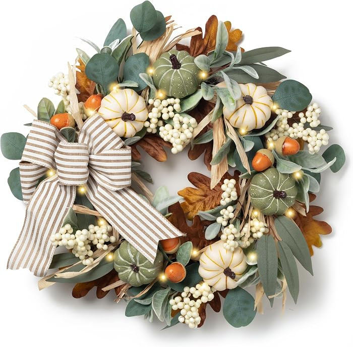Valery Madelyn 24'' Fall Wreaths for Front Door with LED Lights | Amazon (US)