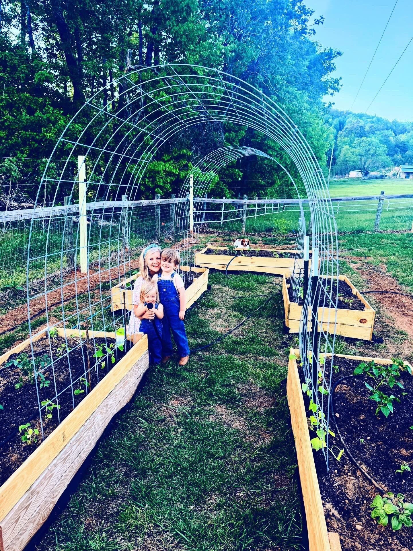 o u t  w h e r e  t h e  g o o d  t h i n g s  g r o w 👩‍🌾🪴🧺🙌🏽🌻🪏🍅🌱🍉🥒💐🌸🫑🌾🌿🪻🤎🫛🌅🫘🫐💛 #countrygarden #firstspringonthefarm #wheregoodthingsgrow 

It’s officially my favorite 🤩 time of year now that the garden 🪴 is planted!! 🪏 Yay for dirt 🤎 on our hands and joy in our hearts!! 🙌🏽 Oh how we love this dreamy 💭 country 🌾 farm garden 🌱 that sweet @wesmabry built 🛠️ for us out here on the farm 🚜🌳 (what a guy 😍💪🏽) Excited for all the sweet slow spring and summer mornings ☕️ in the garden 💦 and sunset 🌅 evenings watching these beds 🪵 rows 🌿 burst with life and praying for a happy harvest 🧺 ahead to bless others with, too!! 🥒💐🌻🍅🍉🫘🫐🌸 #itsgardeningseason #favoritetimeofyear 

Happy gardening season, y’all!! 👩‍🌾🪏🤎🚜🌳🍅💐🌻

#LTKmomlife #LTKKids #LTKHome