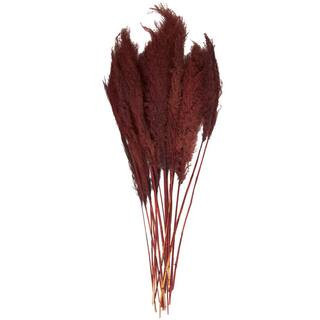 43 in. Pampas Grass Natural Foliage with Long Stems (1 Bundle) | The Home Depot