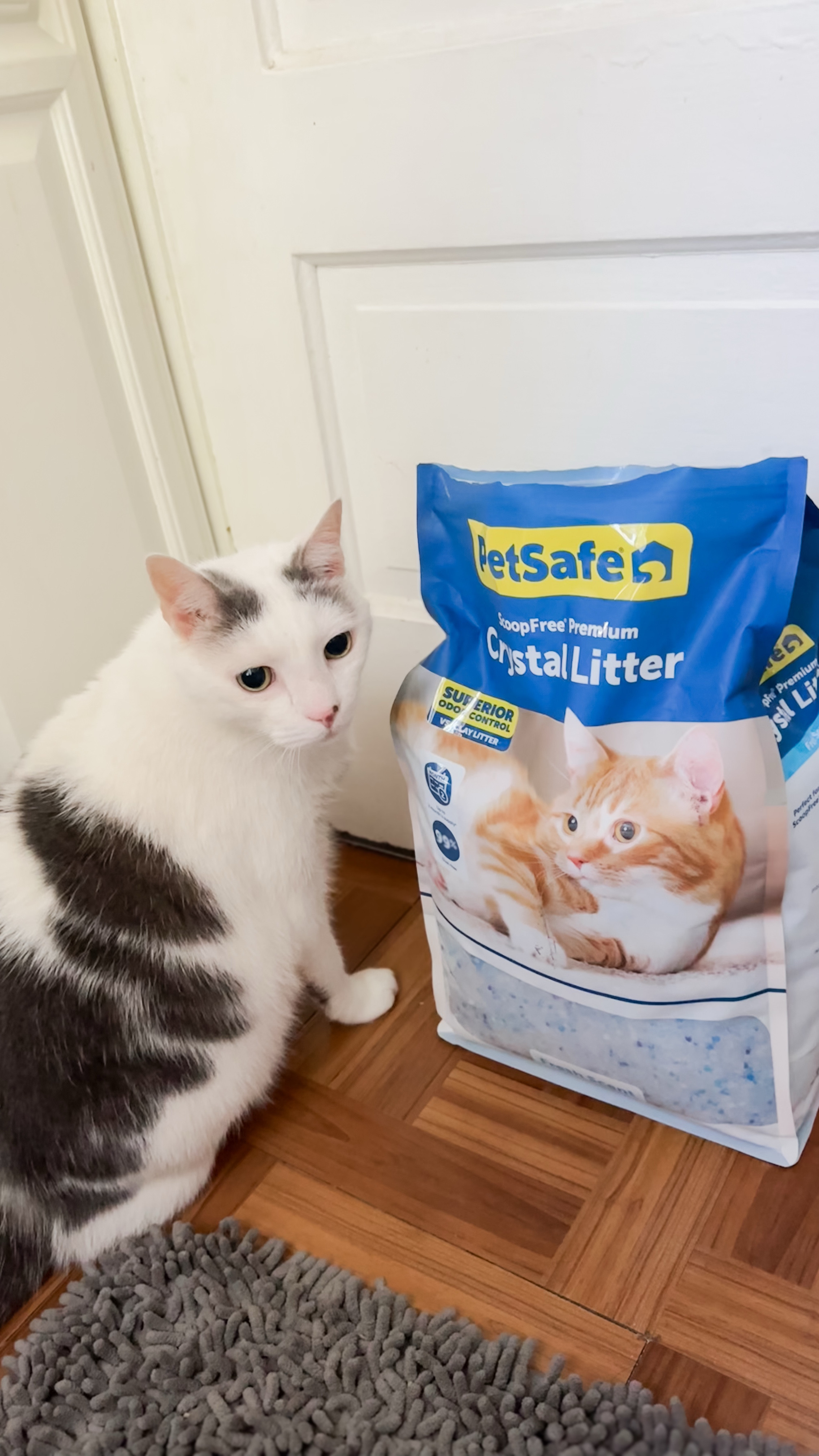 If you have a kitty at home I would definitely give petsafe Crystal cat litter a try. One 10 lb bag lasts up to 2 months and equals 50lbs of traditional clumping litter. You can use it with any litter box and it being 99% dust-free is such a game changer. My cat had no issues transitioning and would totally recommend it! Snag it at walmart on your next trip! 

#LTKPets #LTKFindsUnder50