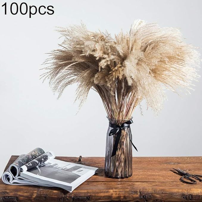 yunbox299 1Bundle/100Pcs Pampas Grass Bunch, Natural Dried Reed Plumes, DIY Phragmites Communis, ... | Amazon (US)