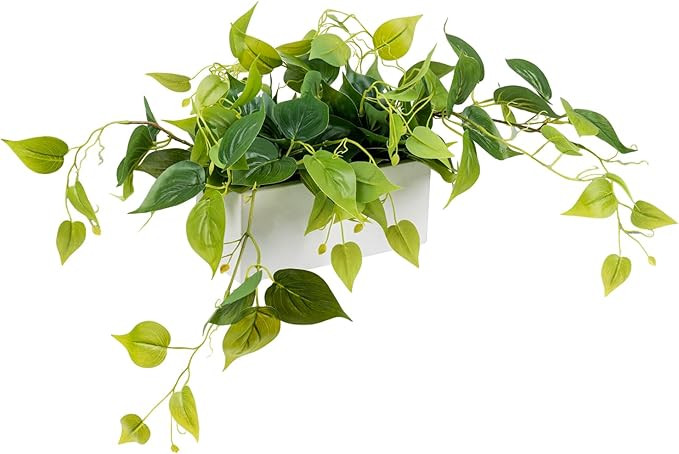 MyGift Vibrant Lifelike Artificial Plant Pothos Leafy Vine Greenery in White Concrete Rectangular... | Amazon (US)