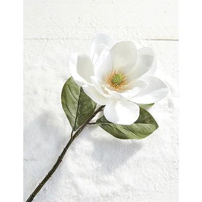 Magnolia Stem Primrue | Wayfair North America