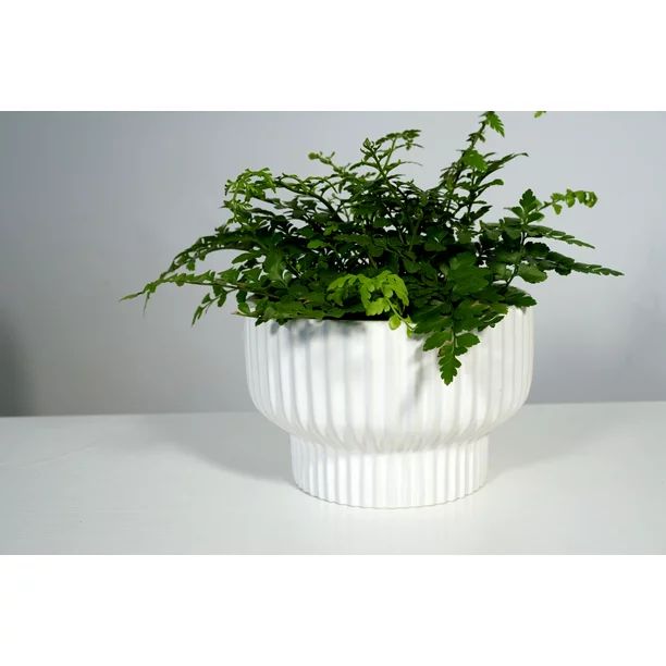 Better Homes & Gardens Pottery 8" x 8" x 5" Round White Ceramic Plant Planter with Weather Resist... | Walmart (US)