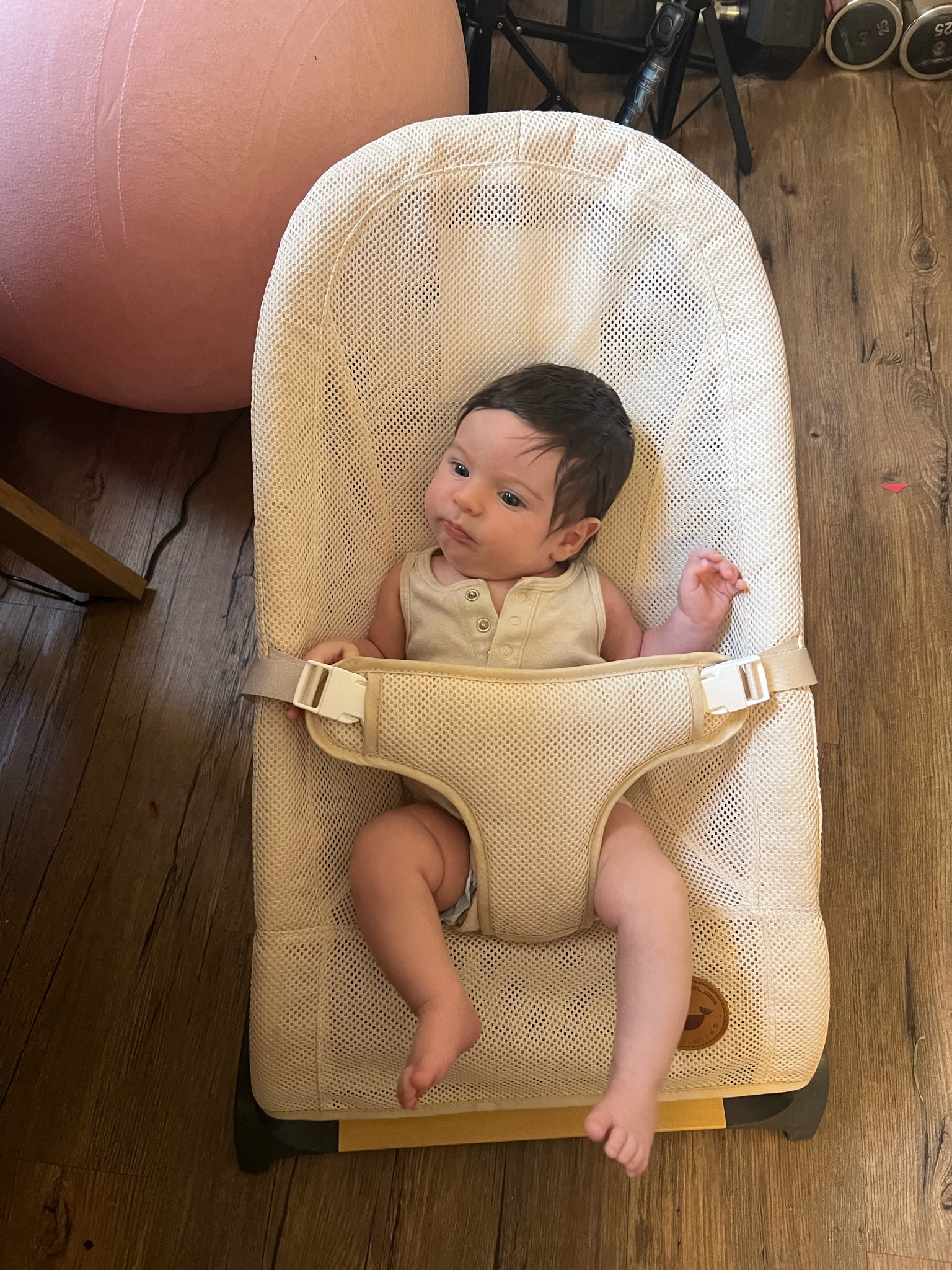 The best baby bouncer! We just use for short periods of time to get hands free 