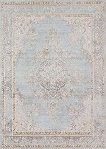 Momeni Rugs Isabella Traditional Medallion Flat Weave Area Rug, 4' X 6', Blue | Amazon (US)
