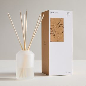 West Elm Homescent Frosted Diffuser - Citrus Pine | West Elm (US)