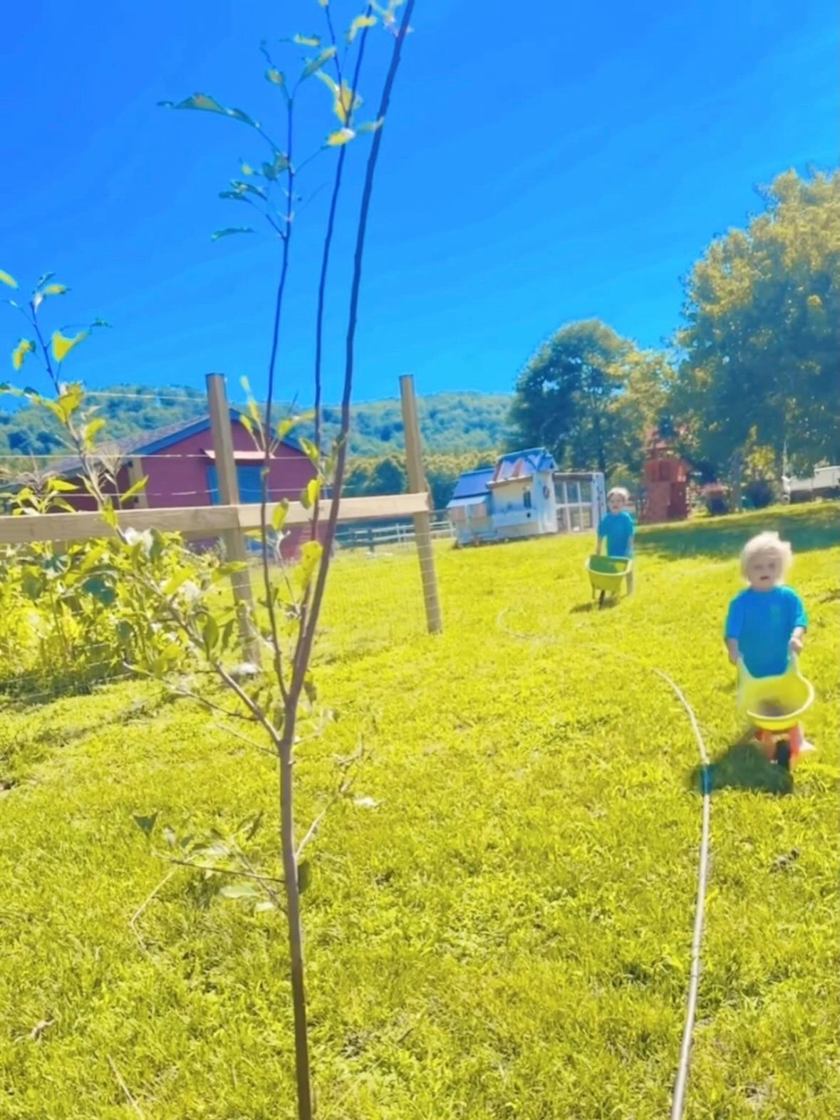 l i f e  l a t e l y 🎞️ has been oh so full 🌸 and our cups overflow 💖 - what a gift it is getting to raise our sweet babies 👶🏼👶🏼 out on our dream 💭 farm sweet farm 🚜 out where the green grass grows!! 👩‍🌾🦋💦🌻☀️🌳🪴🏡🦌 #lifelately #cameraroll #lifeinfull #whatabeautifullife #mychildhooddreamcometrue