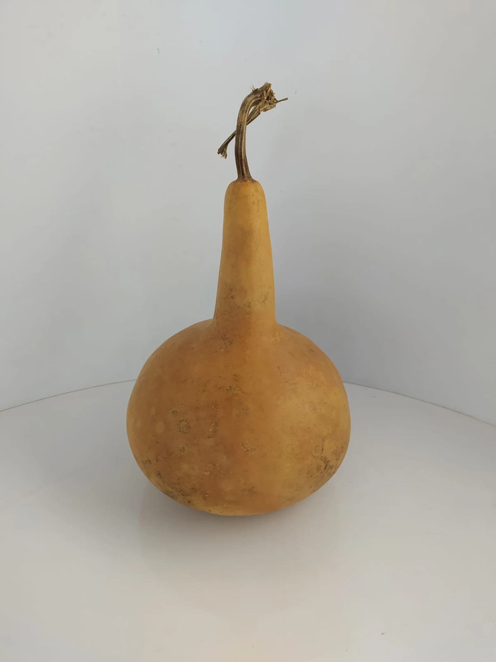 Long Handled Vintage Dried Gourdfarm House Decorhobby Item - Etsy | Etsy (US)