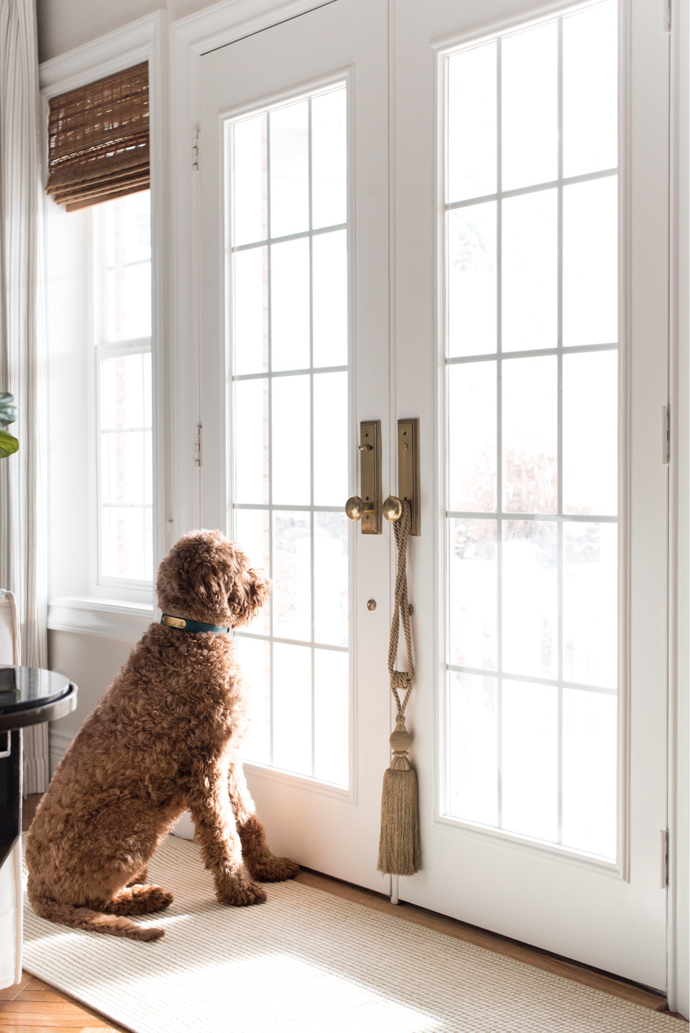 Brass Door Hardware and Tassels… 

#LTKhome #LTKstyletip